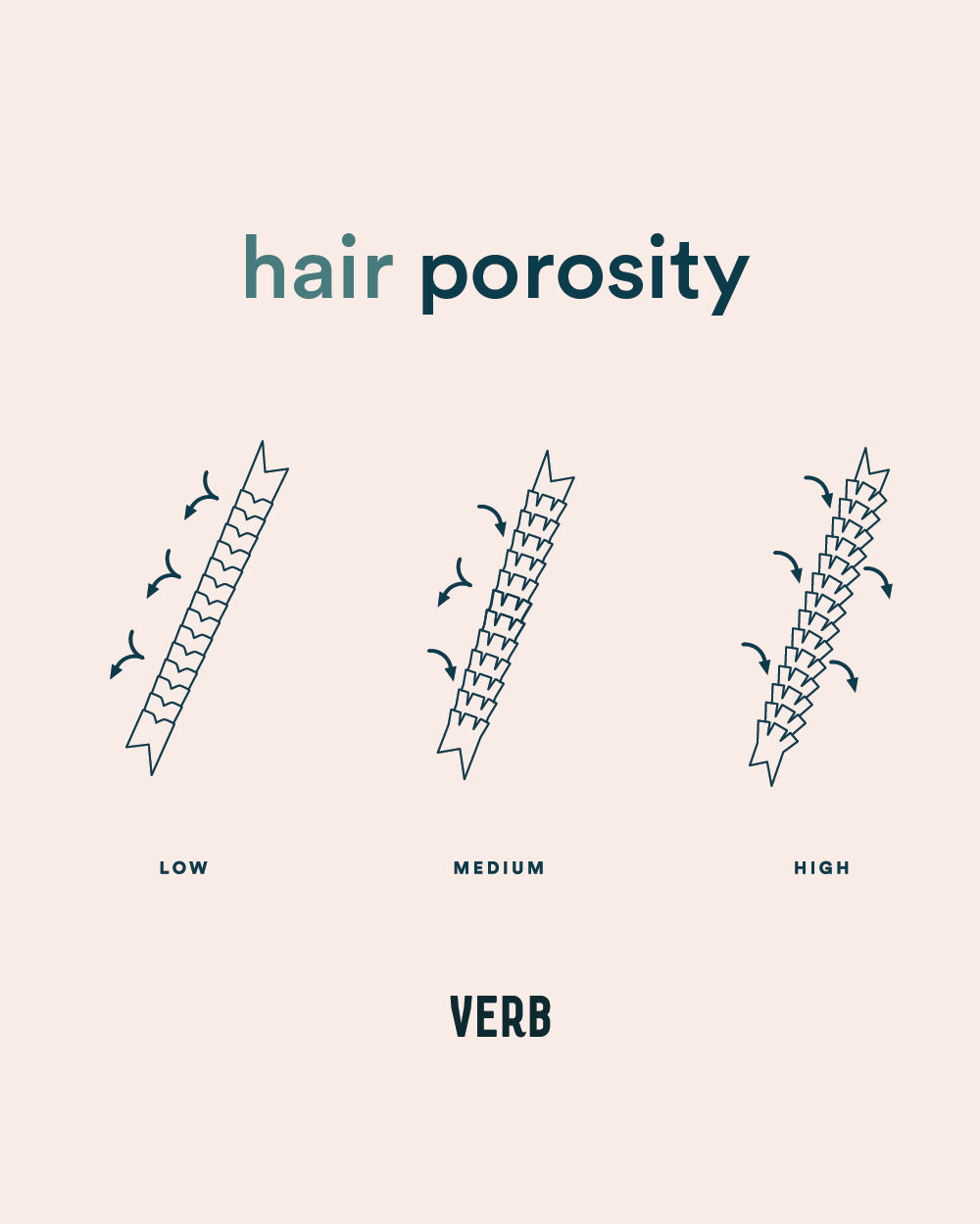 What's your hair porosity?! My hair absorbs water quickly but it also