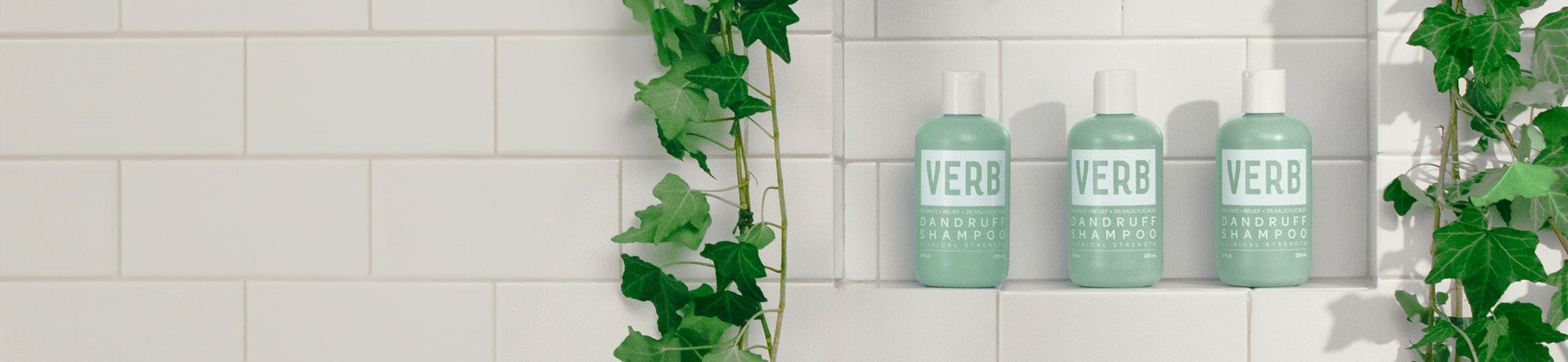 verb dandruff shampoo bottles on tile background